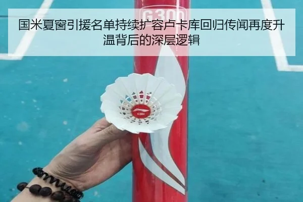 国米夏窗引援名单持续扩容卢卡库回归传闻再度升温背后的深层逻辑