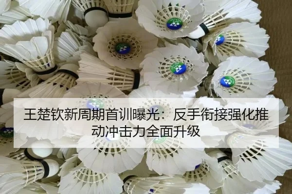 王楚钦新周期首训曝光：反手衔接强化推动冲击力全面升级